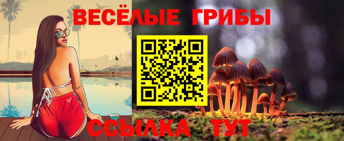 Галлюциногенные грибы Psilocybe Сегежа