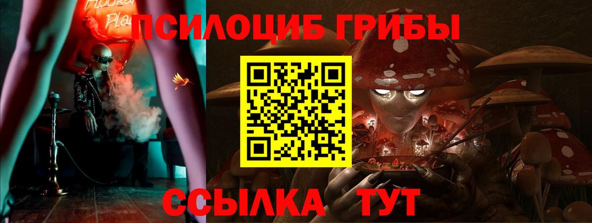 Сегежа  Псилоцибиновые грибы MAGIC MUSHROOMS  Вход с VPN  Псилоцибиновые грибы MAGIC MUSHROOMS 